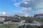 vand fundatie in localitatea izvin