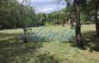Casa 97 mp , 2200 mp teren, anexe com. Zimbor - 5