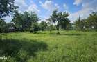 Teren intravilan 1400mp, deschidere 20mp, Snagov - 7