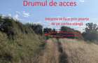 Teren intravilan in Adjudu-Vechi - 6