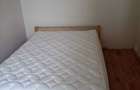 Inchiriez apartament cu 2 camere in Dambu - 5