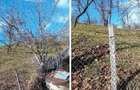 Teren cota parte 1/2, Sat Vistieru, ID: R2809860 - 8