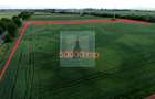 Teren intravilan 50000 mp, cu PUZ, Aprobat - zona Halchiu... - 7