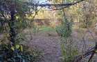 Vand casa in com. Giubega jud. Dolj - 2