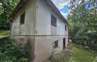 Casa de vanzare, 100 mp, teren 10.000 mp, zona Almasu Mare - 4