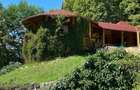Domeniu exclusivist 17.000 mp | Vila luxury cu piscina & SPA Carbu - 17