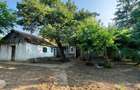 Comision0%-AlmanImobiliare-OazaDeCurte-1100Mp-CasaRenovabila-Mangalia - 17