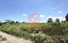 Teren Intravilan 1700 mp - Localitatea Amzacea