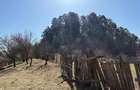A 1683 De vanzare casa saseasca in Mure?- Balauseri - 1