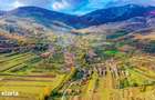 Casa din piatra la poalele Bedeleului Izvoarele, Alba - 20