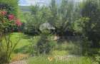 Casa individuala 230 mp, 5 camere, teren 900mp, Faget - 3