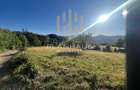 Teren extravilan Firiza Maramures , zona Vidra ,1 ha ideal cabana , - 6