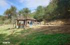 Teren, padure si casa in Dumbrava de Jos, jud. Hunedoara - 5