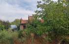 Magurele-  Constructie la structura  casa pe teren bine pozitionat - 5
