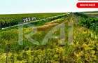 Investitie vizionara: 11.000 mp INTRAVILAN-Centura Sud-4 /mp!!! - 1
