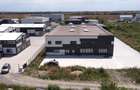 Hală industrială nouă depozitare de inchiriat Zona Industrială Sânandrei DN69 - 1