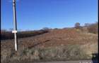 Teren intravilan 43,8 m deschidere - 2