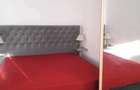 Vind apartament confort 3 Lacul Balea - 6