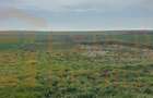Teren intravilan 10.000 mp | DN | in Zona Volvo - Hala Neagră - 8