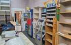 SPATIU COMERCIAL STRADAL-110 MP-ELISABETIN - 3