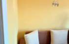 Apartament recent renovat 1 camera, ULTRACENTRAL - 3