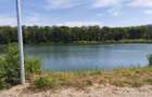Casa de vanzare in Branesti, in apropiere de padure si lac - 3