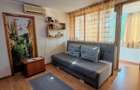 Apartament 2 camere Tiglina - 1