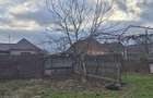 Casa cu teren 4000 mp in Bogei, Bihor - 9