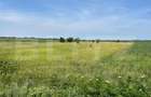 Teren extravilan, 4.994 mp, Targoviste - 1
