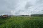 Teren Intravilan de Vanzare | Moara Carp, Suceava | Pret: 95.000€ - 1