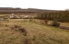 RECO Teren intravilan Betfia Sanmartin