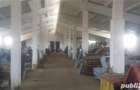 Vand sau inchiriez grajd ferma spatiu hala pt productie depozitare in Raciu judetul Mures - 3