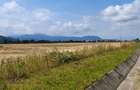 Teren intravilan industrial, DN1A Sacele - Brasov. - 4