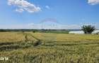 Teren 15,000mp Salcea-Prelipca, Suceava - 7