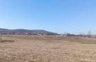 Teren arabil 1 ha Cilibiu, Golaiesti - 1
