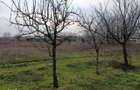Teren 4625 mp Cataloi (10 min de Tulcea) - 1