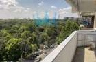 Apartament 3 Camere Tineretului Bucuresti - 17