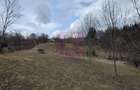 Teren intravilan de vanzare in Valea Doftanei - 10