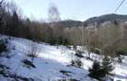 Teren situat in Predeal - 5