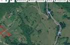 Vând 2parcele ,4265 mp,2804 mp extravilan Transapuseana, sat Măcărești - 7