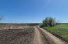 GRADISTEA - Sat Sitaru, teren agricol 11.961mp, ideal investitie - 4