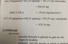 Casa la rosu pe 4 nivele cu teren generos - 6