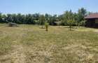 Teren de vanzare Budacu de Jos 3 parcele, utilitati la limita, zona Raal - 5
