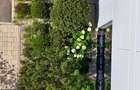 Studio usor de inchiriat | aproape de zona de business din vest - 8