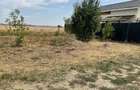 Teren 500 MP Clinceni, langa ferma de struti - 3