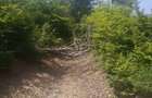 Teren extravilan, padure, 20.000mp2, Posesti Prahova - 4