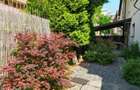 Apartament 3 camere, mobilat, utilat, 50 gradina, parcare, Grigorescu - 4