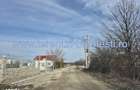 Teren cu gaz si electrica-hotar, 28000 E, padure - 4