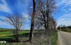 Teren 10,000mp Nemtisor / DJ 155C - 20