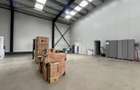 ACTIV LOGISTIC 577 mp – CHIAJNA, STR. INDUSTRIILOR - 4